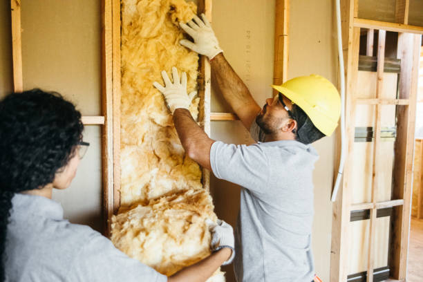 Best Insulation Removal  in Boonville, MO